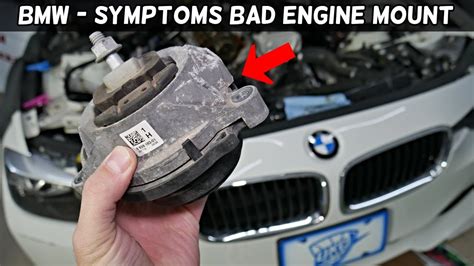 motor mount leaking oil|Symptoms of Bad Engine Mount (Motor Mount)